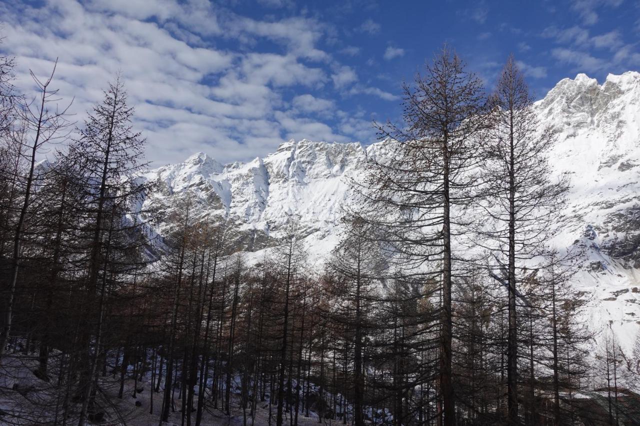 Erikzang - Cervinia Ski In Ski Out Apartments Breuil-Cervinia Luaran gambar