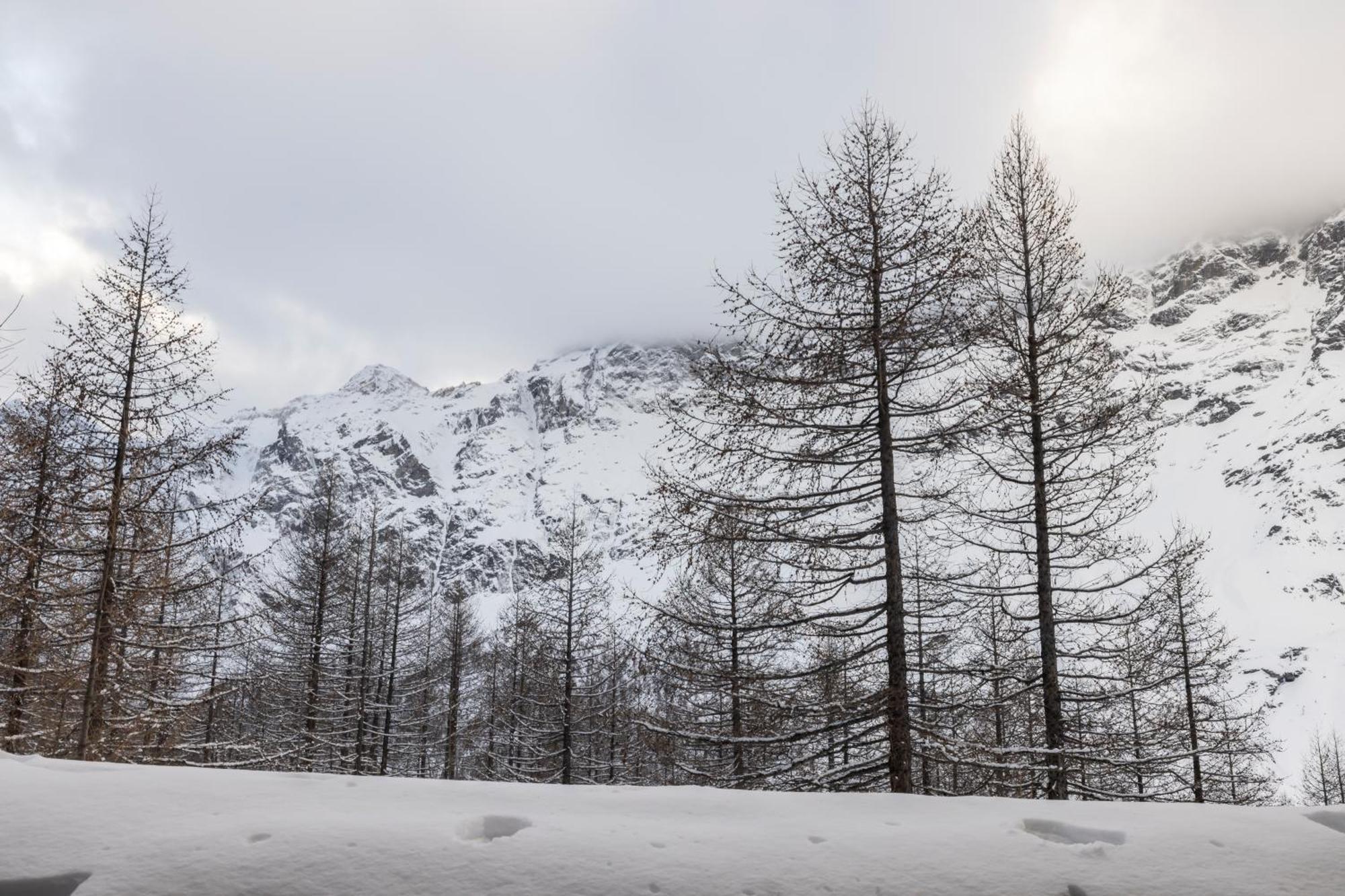 Erikzang - Cervinia Ski In Ski Out Apartments Breuil-Cervinia Luaran gambar